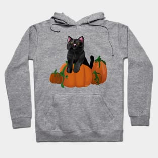 Black Cat in a Pumpkin Patch Hoodie